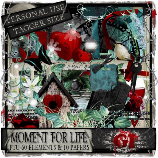 Moment For Life- Tagger Kit