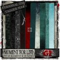 Moment For Life- Tagger Kit